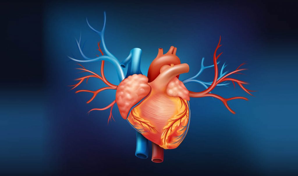 Surgical Treatment Of Mitral Valve Disease